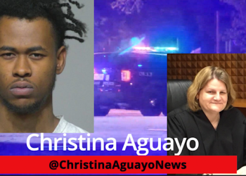 Man Who Shot Police Officers Given Deferred Prosecution By Judge Hannah Dugan